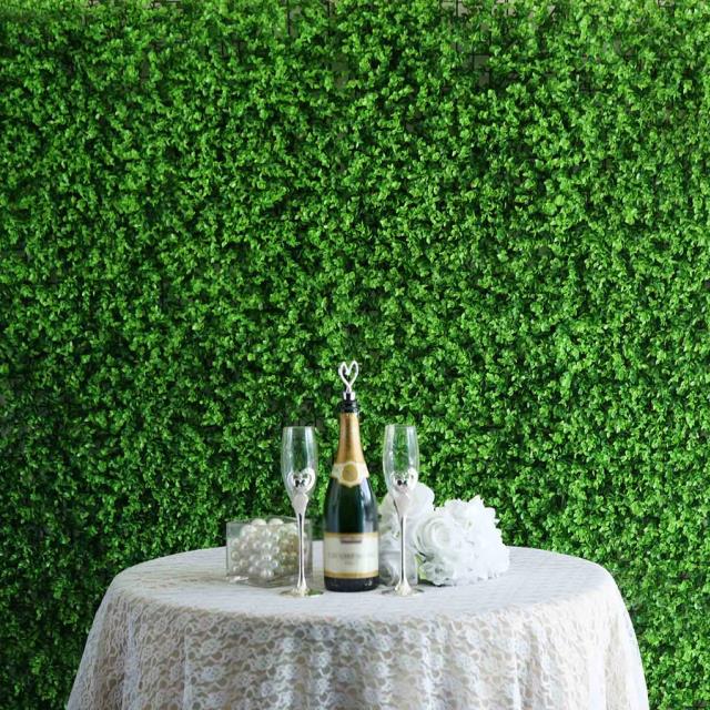 Rental store for 8X8 BABY GREEN BOXWOOD HEDGE WALL in Auburn IN