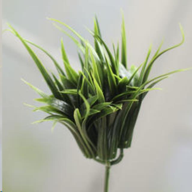 Rental store for ARTIFICIAL CURLY GRASS PICK succulant in Auburn IN
