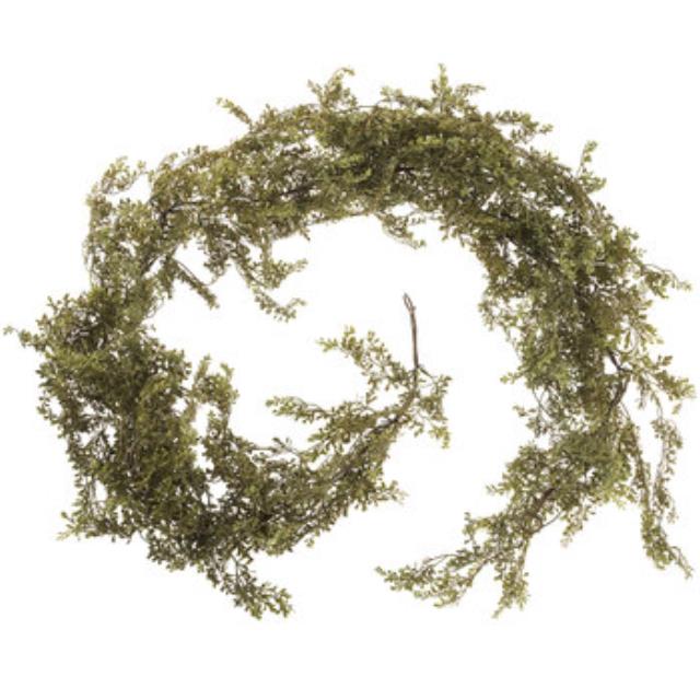 Rental store for 6FT Arch  Backdrop Greenery in Auburn IN