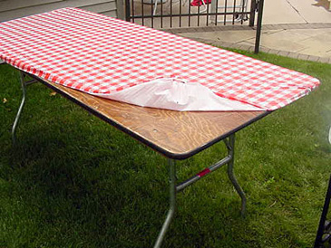 Rental store for 6ft Red Gingham Kwik Cover in Auburn IN
